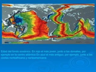 Edad del fondo oceánico. En rojo el más joven, junto a las dorsales, por
ejemplo en la centro atlántica En azul el más antiguo, por ejemplo, junto a las
costas norteafricana y norteamericana
 