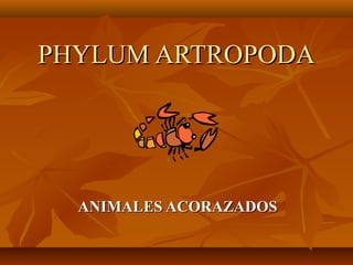 PHYLUM ARTROPODA

ANIMALES ACORAZADOS

 