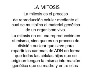 LA MITOSIS
La mitosis es el proceso
de reproducción celular mediante el
cual se multiplica el material genético
de un organismo vivo.
La mitosis no es una reproducción en
sí misma, sino que es un proceso de
división nuclear que sirve para
repartir las cadenas de ADN de forma
que todas las células hijas que se
originan tengan la misma información
genética que su madre y entre ellas
 