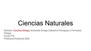 Ciencias Naturales
Nombre: Carolina Ortega, Antonella Orrego,Valentina Parraguez y Fernanda
Ortega
Curso:7ºA
Profesora:Hortencia Soto
 