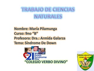 Nombre: María Pilamunga
Curso: 9no “B”
Profesora: Dra.: Armida Galarza
Tema: Síndrome De Down



      “COLEGIO VERBO DIVINO”
 