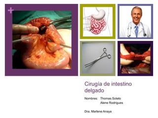 +
Cirugía de intestino
delgado
Nombres: Thomas Sotelo
Alene Rodrigues
Dra. Marlene Anaya
 