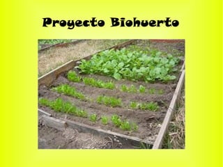 Proyecto Biohuerto
 