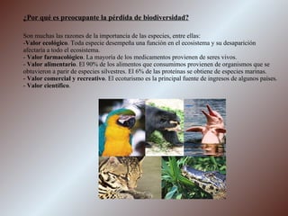 ¿Por qué es preocupante la pérdida de biodiversidad? Son muchas las razones de la importancia de las especies, entre ellas: - Valor ecológico . Toda especie desempeña una función en el ecosistema y su desaparición afectaría a todo el ecosistema. -  Valor farmacológico . La mayoría de los medicamentos provienen de seres vivos. -  Valor alimentario . El 90% de los alimentos que consumimos provienen de organismos que se obtuvieron a parir de especies silvestres. El 6% de las proteínas se obtiene de especies marinas. -  Valor comercial y recreativo . El ecoturismo es la principal fuente de ingresos de algunos países. -  Valor científico . 