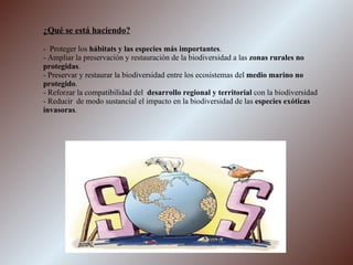 ¿Qué se está haciendo? -  Proteger los  hábitats y las especies más importantes . - Ampliar la preservación y restauración de la biodiversidad a las  zonas rurales no protegidas . - Preservar y restaurar la biodiversidad entre los ecosistemas del  medio marino no protegido . - Reforzar la compatibilidad del  desarrollo regional y territorial  con la biodiversidad - Reducir  de modo sustancial el impacto en la biodiversidad de las  especies exóticas invasoras . 