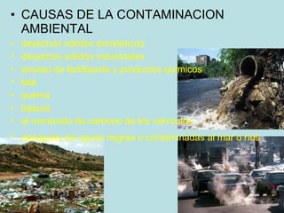 CAUSAS DE LA CONTAMINACION AMBIENTAL  desechos sólidos domésticos  desechos sólidos industriales  exceso de fertilizante y productos químicos  tala  quema  basura  el monóxido de carbono de los vehículos  desagües de aguas negras o contaminadas al mar o ríos   