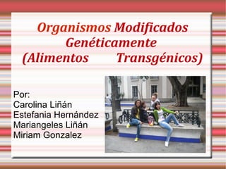 Organismos Modificados
       Genéticamente
 (Alimentos    Transgénicos)

Por:
Carolina Liñán
Estefania Hernández
Mariangeles Liñán
Miriam Gonzalez
 