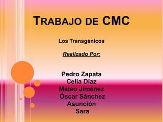 TRABAJO DE CMC
   Los Transgénicos

    Realizado Por:


   Pedro Zapata
     Celia Díaz
   Mateo Jiménez
   Óscar Sánchez
     Asunción
        Sara
 