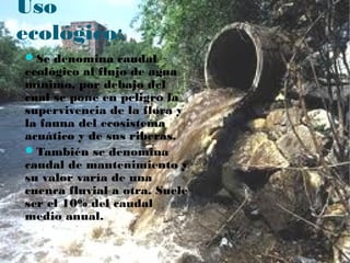 Uso
ecológico:
Se denomina caudal
ecológico al flujo de agua
mínimo, por debajo del
cual se pone en peligro la
supervivencia de la flora y
la fauna del ecosistema
acuático y de sus riberas.
También se denomina
caudal de mantenimiento y
su valor varía de una
cuenca fluvial a otra. Suele
ser el 10% del caudal
medio anual.
 
