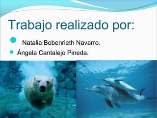Trabajo realizado por:
 Natalia Bobenrieth Navarro.
 Ángela Cantalejo Pineda.
 