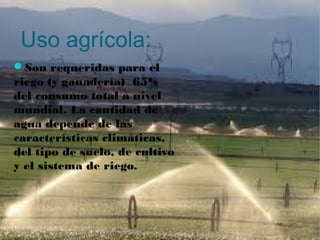 Uso agrícola:
Son requeridas para el
riego (y ganadería) 65%
del consumo total a nivel
mundial. La cantidad de
agua depende de las
características climáticas,
del tipo de suelo, de cultivo
y el sistema de riego.
 