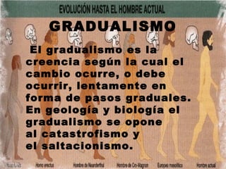 Gradualidad teorias de la evolución | PPT