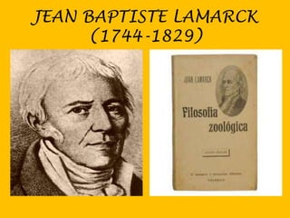 JEAN BAPTISTE LAMARCK
(1744-1829)

 