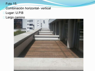 Foto 15.
Combinación horizontal- vertical
Lugar: U.P.B
Largo camino
 