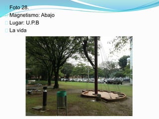 Foto 28.
Magnetismo: Abajo
Lugar: U.P.B
La vida
 