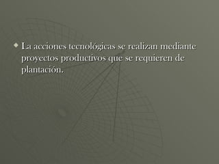 La acciones tecnológicas se realizan mediante proyectos productivos que se requieren de plantación. 