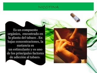 NICOTINA Es un compuesto orgánico,  encontrado en la planta del tabaco . En bajas concentraciones, la sustancia es un estimulante y es uno de los principales factores de adicción al tabaco.  