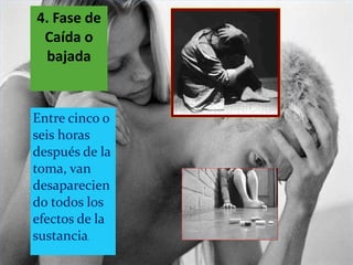 4. Fase de Caída o bajada Entre cinco o seis horas después de la toma, van desapareciendo todos los efectos de la sustancia . 