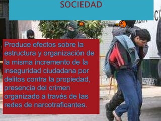 Produce efectos sobre la estructura y organización de la misma incremento de la inseguridad ciudadana por delitos contra la propiedad, presencia del crimen organizado a través de las redes de narcotraficantes.   