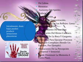 De Calma. Bienestar. Aumento Del Apetito. Euforia. Desinhibición. Pérdida De Concentración. Disminución De Los Reflejos. Ganas De Hablar Y Reír. Enrojecimiento De Los Ojos Aceleración Del Ritmo Cardiaco.  Sequedad En La Boca Y Garganta. Dificultad Para Ejecutar Procesos Mentales Complejos (Rendir Un Examen, Por Ejemplo).  Alteraciones De La Percepción Temporal Y Sensorial. Puede Disminuir La Memoria A Corto Plazo.  Inicialmente, dosis bajas pueden producir sensaciones placenteras  