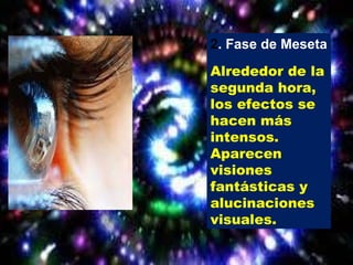 2 . Fase de Meseta Alrededor de la segunda hora, los efectos se hacen más intensos. Aparecen visiones fantásticas y alucinaciones visuales. 