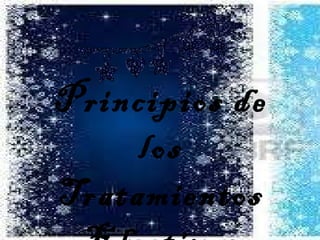 Principios de los Tratamientos Efectivos 