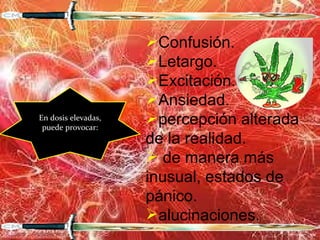Confusión. Letargo. Excitación. Ansiedad. percepción alterada de la realidad. de manera más inusual, estados de pánico.  alucinaciones. En dosis elevadas, puede provocar: 