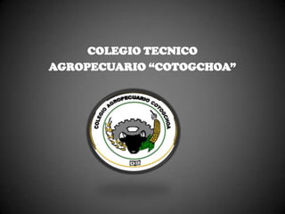 COLEGIO TECNICO
AGROPECUARIO “COTOGCHOA”

 