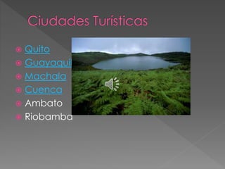  Quito
 Guayaquil
 Machala
 Cuenca
 Ambato
 Riobamba
 