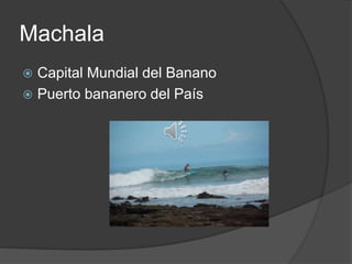 Machala
 Capital Mundial del Banano
 Puerto bananero del País
 