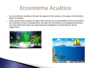    Los ecosistemas acuáticos incluyen las aguas de los océanos y las aguas continentales
    dulces o saladas.
   Cada uno de estos cuerpos de agua tiene estructuras y propiedades físicas particulares
    con relación a la luz, la temperatura, las olas, las corrientes y la composición química,
    así como diferentes tipos de organizaciones ecológicas y de distribución de los
    organismos.
 