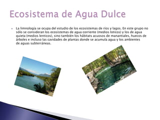   La limnología se ocupa del estudio de los ecosistemas de ríos y lagos. En este grupo no
    sólo se consideran los ecosistemas de agua corriente (medios loticos) y los de agua
    quieta (medios lenticos), sino también los hábitats acuosos de manantiales, huecos de
    árboles e incluso las cavidades de plantas donde se acumula agua y los ambientes
    de aguas subterráneas.
 
