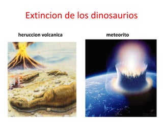 Extincion de los dinosaurios
heruccion volcanica    meteorito
 