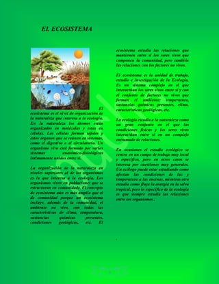8
EL ECOSISTEMA
El
ecosistema es el nivel de organización de
la naturaleza que interesa a la ecología.
En la naturaleza los átomos están
organizados en moléculas y estas en
células. Las células forman tejidos y
estos órganos que se reúnen en sistemas,
como el digestivo o el circulatorio. Un
organismo vivo está formado por varios
sistemas anatómico-fisiológicos
íntimamente unidos entre sí.
La organización de la naturaleza en
niveles superiores al de los organismos
es la que interesa a la ecología. Los
organismos viven en poblaciones que se
estructuran en comunidade. El concepto
de ecosistema aún es más amplio que el
de comunidad porque un ecosistema
incluye, además de la comunidad, el
ambiente no vivo, con todas las
características de clima, temperatura,
sustancias químicas presentes,
condiciones geológicas, etc. El
ecosistema estudia las relaciones que
mantienen entre sí los seres vivos que
componen la comunidad, pero también
las relaciones con los factores no vivos.
El ecosistema es la unidad de trabajo,
estudio e investigación de la Ecología.
Es un sistema complejo en el que
interactúan los seres vivos entre sí y con
el conjunto de factores no vivos que
forman el ambiente: temperatura,
sustancias químicas presentes, clima,
características geológicas, etc.
La ecología estudia a la naturaleza como
un gran conjunto en el que las
condiciones físicas y los seres vivos
interactúan entre sí en un complejo
entramado de relaciones.
En ocasiones el estudio ecológico se
centra en un campo de trabajo muy local
y específico, pero en otros casos se
interesa por cuestiones muy generales.
Un ecólogo puede estar estudiando como
afectan las condiciones de luz y
temperatura a las encinas, mientras otro
estudia como fluye la energía en la selva
tropical; pero lo específico de la ecología
es que siempre estudia las relaciones
entre los organismos .
.
 