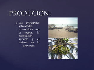  Las principales
actividades
económicas son
la pesca, la
producción
agrícola y el
turismo en la
provincia.
PRODUCION:
 