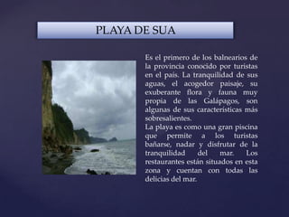 PLAYA DE SUA
Es el primero de los balnearios de
la provincia conocido por turistas
en el país. La tranquilidad de sus
aguas, el acogedor paisaje, su
exuberante flora y fauna muy
propia de las Galápagos, son
algunas de sus características más
sobresalientes.
La playa es como una gran piscina
que permite a los turistas
bañarse, nadar y disfrutar de la
tranquilidad del mar. Los
restaurantes están situados en esta
zona y cuentan con todas las
delicias del mar.
 