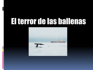 El terror de las ballenas
 