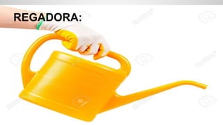 REGADORA:
 