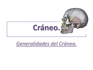 Cráneo. Generalidades del Cráneo. 