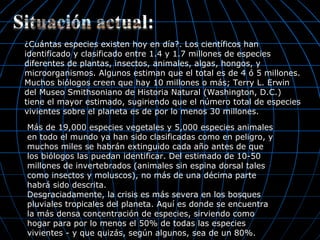 ¿Cuántas especies existen hoy en día?. Los científicos han
identificado y clasificado entre 1.4 y 1.7 millones de especies
diferentes de plantas, insectos, animales, algas, hongos, y
microorganismos. Algunos estiman que el total es de 4 ó 5 millones.
Muchos biólogos creen que hay 10 millones o más; Terry L. Erwin
del Museo Smithsoniano de Historia Natural (Washington, D.C.)
tiene el mayor estimado, sugiriendo que el número total de especies
vivientes sobre el planeta es de por lo menos 30 millones.
Más de 19,000 especies vegetales y 5,000 especies animales
en todo el mundo ya han sido clasificadas como en peligro, y
muchos miles se habrán extinguido cada año antes de que
los biólogos las puedan identificar. Del estimado de 10-50
millones de invertebrados (animales sin espina dorsal tales
como insectos y moluscos), no más de una décima parte
habrá sido descrita.
Desgraciadamente, la crisis es más severa en los bosques
pluviales tropicales del planeta. Aquí es donde se encuentra
la más densa concentración de especies, sirviendo como
hogar para por lo menos el 50% de todas las especies
vivientes - y que quizás, según algunos, sea de un 80%.
 