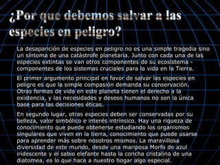 La desaparición de especies en peligro no es una simple tragedia sino
un síntoma de una catástrofe planetaria. Junto con cada una de las
especies extintas se van otros componentes de su ecosistema -
componentes de los sistemas cruciales para la vida en la Tierra.
El primer argumento principal en favor de salvar las especies en
peligro es que la simple compasión demanda su conservación.
Otras formas de vida en este planeta tienen el derecho a la
existencia, y las necesidades y deseos humanos no son la única
base para las decisiones éticas.
En segundo lugar, otras especies deben ser conservadas por su
belleza, valor simbólico e interés intrínsico. Hay una riqueza de
conocimiento que puede obtenerse estudiando los organismos
singulares que viven en la tierra, conocimiento que puede usarse
para aprender más sobre nosotros mismos. La maravillosa
diversidad de este mundo, desde una mariposa Morfo de azul
iridescente y el sabio elefante hasta la concha cristalina de una
diatomea, es lo que hace a nuestro hogar algo especial.
 