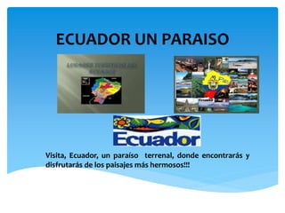 ECUADOR UN PARAISO
Visita, Ecuador, un paraíso terrenal, donde encontrarás y
disfrutarás de los paisajes más hermosos!!!
 