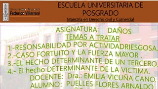 ESCUELA UNIVERSITARIA DE
POSGRADO
Maestría en Derecho civil y Comercial
 