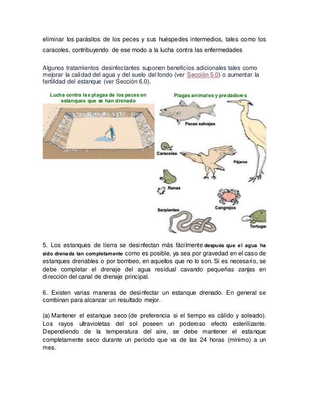 Las lamblias los síntomas y el tratamiento por el alquitrán