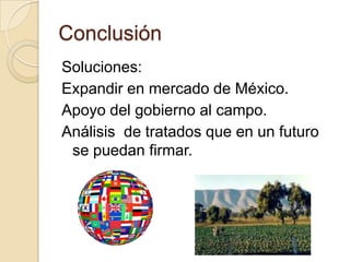 Conclusión
Soluciones:
Expandir en mercado de México.
Apoyo del gobierno al campo.
Análisis de tratados que en un futuro
 se puedan firmar.
 