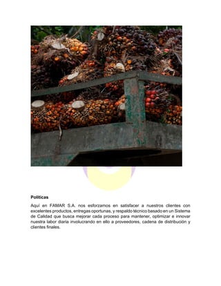 Políticas
Aquí en FAMAR S.A. nos esforzamos en satisfacer a nuestros clientes con
excelentes productos, entregas oportunas, y respaldo técnico basado en un Sistema
de Calidad que busca mejorar cada proceso para mantener, optimizar e innovar
nuestra labor diaria involucrando en ello a proveedores, cadena de distribución y
clientes finales.
 