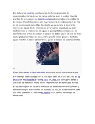 Los deltas y los estuarios constituyen las dos formas principales de
desembocadura de los ríos en los mares, océanos, lagos o en otros ríos más
grandes. Su presencia en las desembocadurasestá originada por la amplitud de
las mareas. Cuando las mareas son muy intensas, la desembocadura de los ríos
en los océanos suele ser del tipo de estuario, ya que durante la pleamar se
represan las aguas del río, mientras que en la bajamar se produce una gran
aceleración de la velocidad de las aguas, lo que impide la acumulación de los
sedimentos que forman las islas en el caso de los deltas. Es por ello que los deltas
suelen producirse más en los lagos, mares y hasta en ríos grandes, donde las
aguas no sufren la acción de las mareas, que en el caso de los océanos abiertos.
El delta del río Ganges, en laIndia y Bangladés es una de las regiones más fértiles de la Tierra.
Sin embargo, existen excepciones a esta regla, como en el caso del Delta del río
Orinoco en América del Sur y del río Níger en África, que son lugares donde la
acción de las mareas es mucho menos importante que en las latitudes medias.
En aquellos lugares en los que la formación del delta está dominado por el río y
está menos sujeto a la acción de las mareas y las olas, se puede formar un delta
con forma polilobular. El delta del río Misisipi es un ejemplo de este tipo de
formaciones.
 