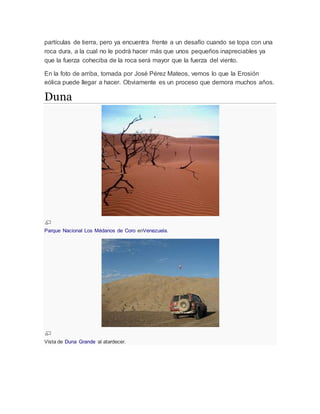 partículas de tierra, pero ya encuentra frente a un desafío cuando se topa con una
roca dura, a la cual no le podrá hacer más que unos pequeños inapreciables ya
que la fuerza coheciba de la roca será mayor que la fuerza del viento.
En la foto de arriba, tomada por José Pérez Mateos, vemos lo que la Erosión
eólica puede llegar a hacer. Obviamente es un proceso que demora muchos años.
Duna
Parque Nacional Los Médanos de Coro enVenezuela.
Vista de Duna Grande al atardecer.
 