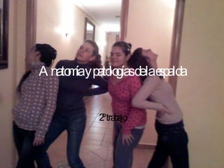 Anatomía y patologías de la espalda 2º trabajo 