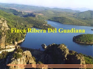 Finca Ribera Del Guadiana
 